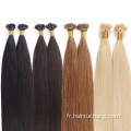 Remy Flat Tip Hair Extensions: HEUR de haute qualité